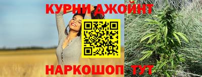 ALPHA-PVP Партизанск